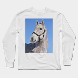 Woolly Bear Long Sleeve T-Shirt